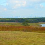 View from North Park area of Freshkills Park<br/>
